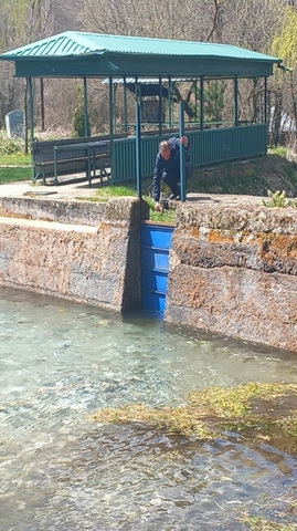 Picture12