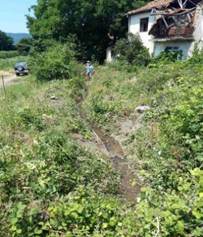 Picture5