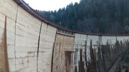 IMAG2613 fit 447x250