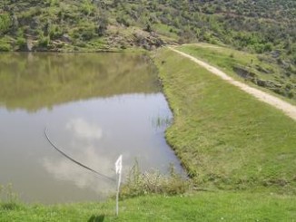 strumica13 fit 333x250