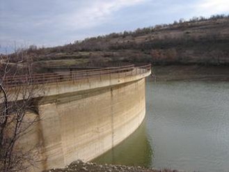 branapodles3 fit 333x250